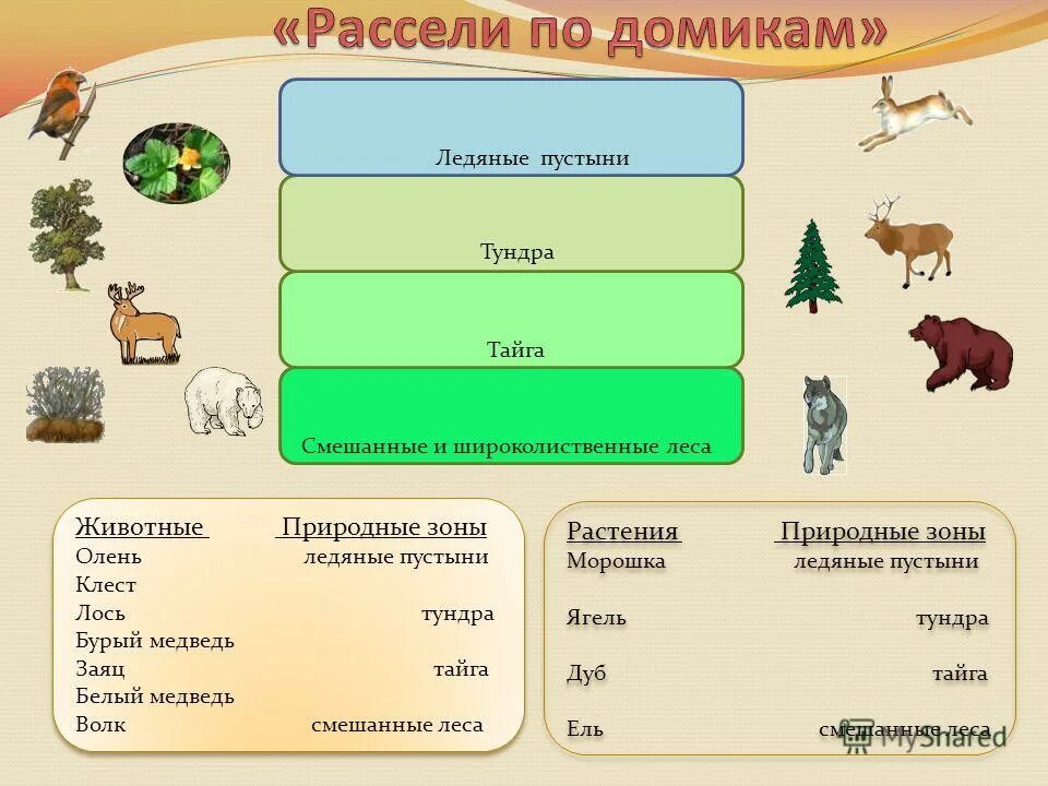 Зона тундры 5 класс биология. Природные зоны африки пустыни таблица. Животные и растения природных зон. Соотнеси растения и природную зону. Растения по природным зонам.
