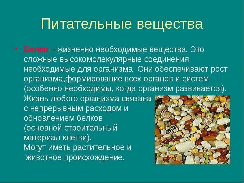 Жизненно необходимыми продуктами. Питательные вещества. Пищевые вещества. Пищевые вещества белки. Сообщение о питательных веществах.