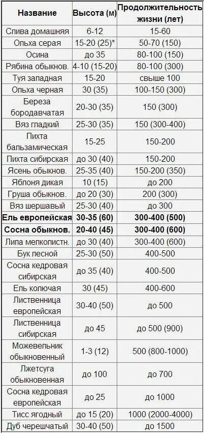 Сколько живут лен. Продолжительность жизни деревьев таблица. Дуб Продолжительность жизни 1 класс. Деревья и Продолжительность жизни таблица 1. Дуб Продолжительность жизни дерева 1 класс.