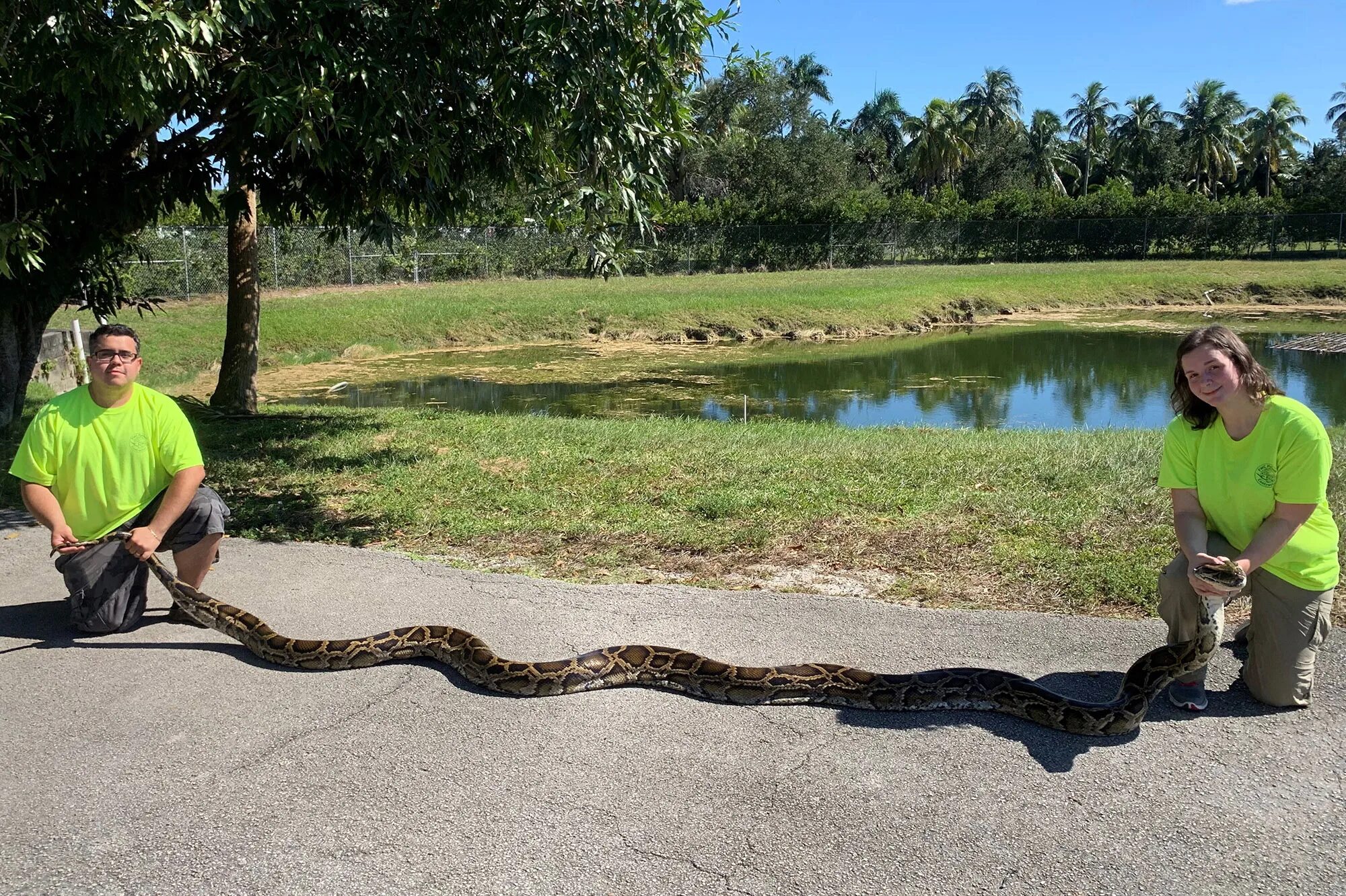 Inches python