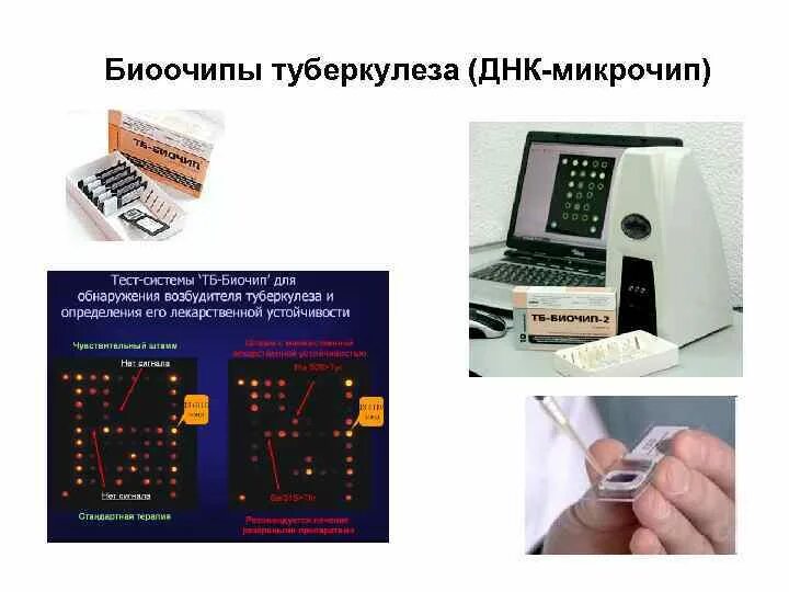 Биочип. Биочип для диагностики. тб биочип. днк микрочипы. биочип в медицине.