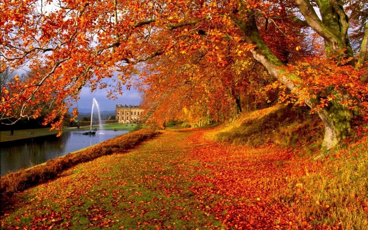 Осень картинки. Осень. Красивая осень. Осенняя природа. Золотая осень.