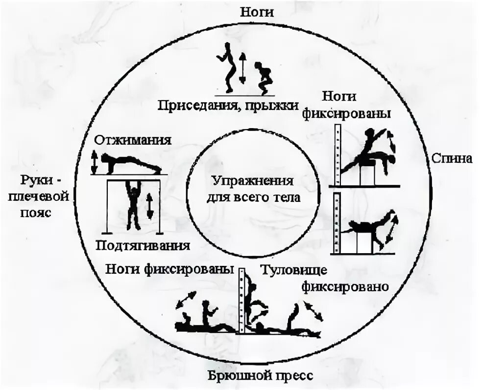 Станции круговой тренировки. Метод круговой тренировки. Упражнения для круговой тренировки. Основа круговой тренировки. Комплекс упражнений с использованием метода круговой тренировки