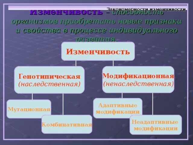 Наследственная изменчивость. Закономерности изменчивости. Закономерности изменчивости наследственная и ненаследственная. Закономерность изменчивость ненаследственную изменчивость. Пример явления иллюстрирующего изменчивость