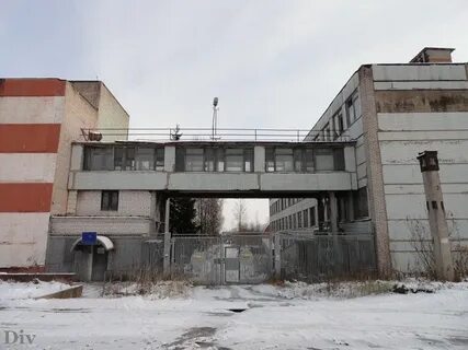Буревестник гатчина