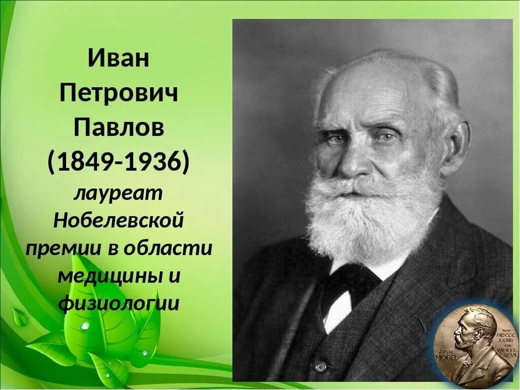 И П Павлов годы жизни. Какого года родился павлов 1