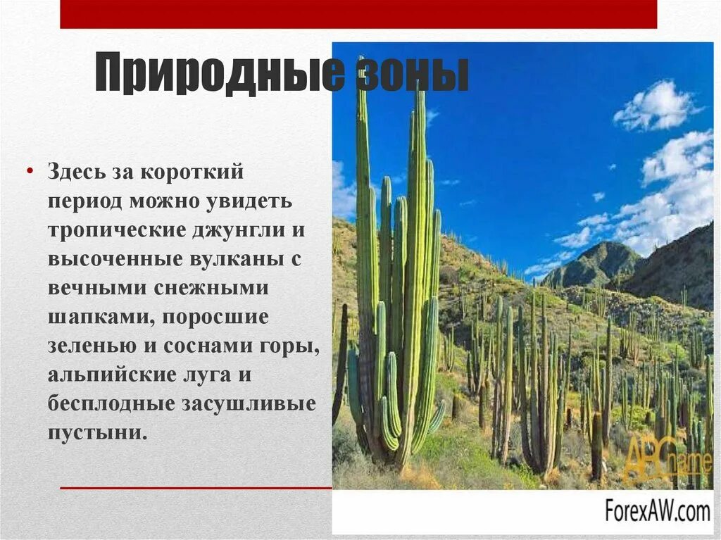 Природные зоны Мексико. Природные зоны Мехико. Природныеьзоны Мексики. Климат и природные зоны Мексики.