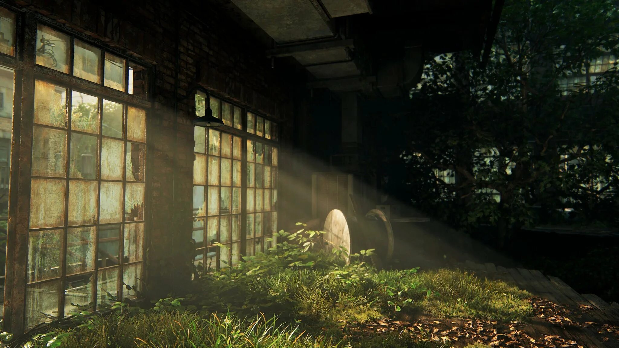Last of us part 1 выход. The last of us обои 1920x1080. the last of us wallpaper 4k. окно из the last of us. the last of us фон на рабочий стол пейзажи.