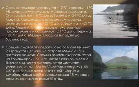 В честь какого мореплавателя названы командорские острова