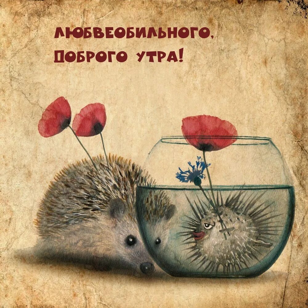 Добрейшее креативное смешное