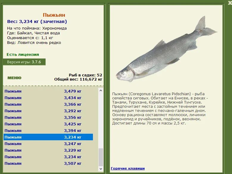 Где ловится чехонь. Где ловится чехонь. Где ловится чехонь. Где ловится чехонь. Где ловится чехонь.