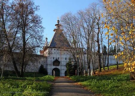 Звенигородский отзывы