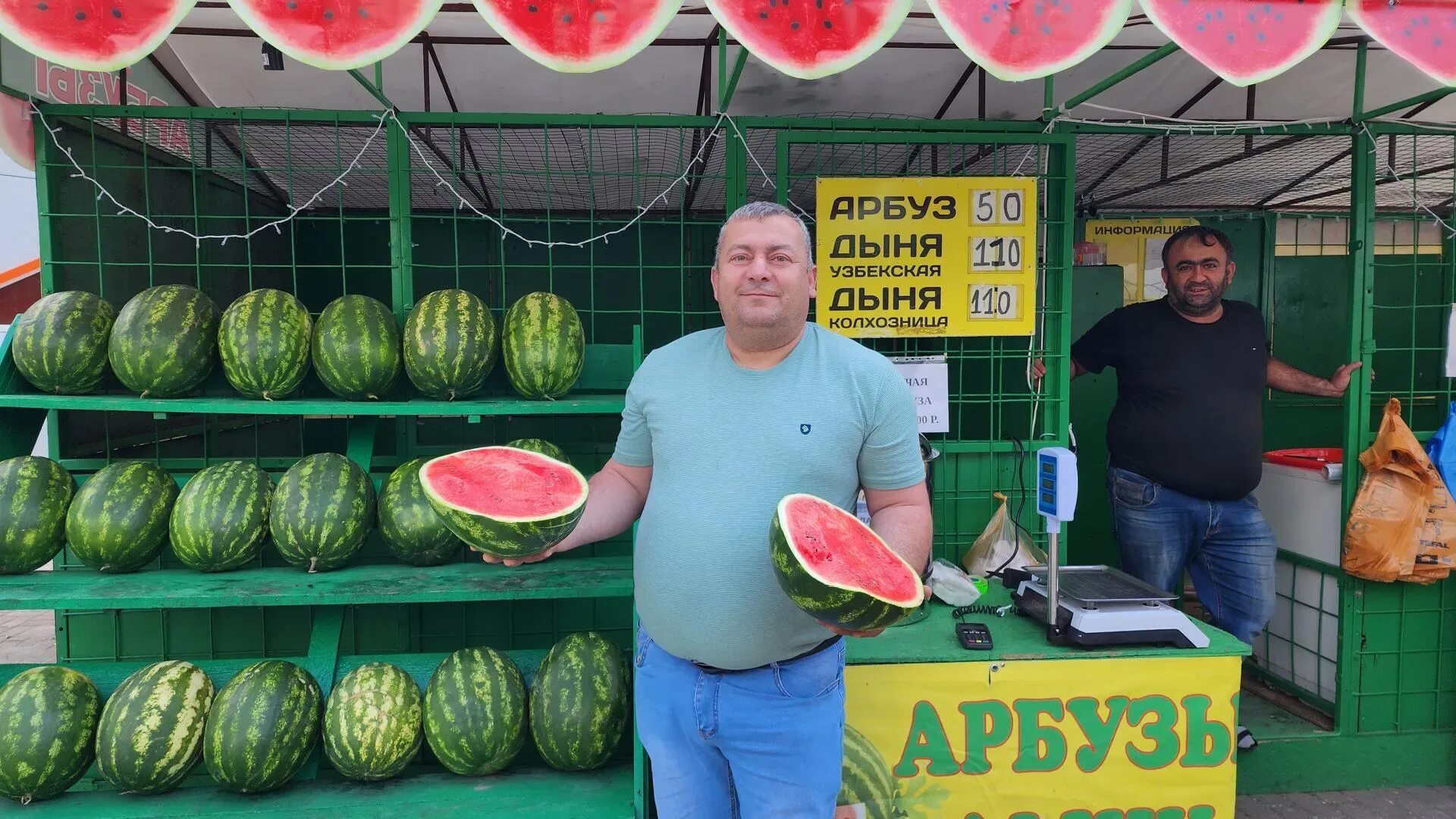 Арбуз московский. Арбузы. Огромный Арбуз. Арбуз на бахче. Сладкий Арбуз.