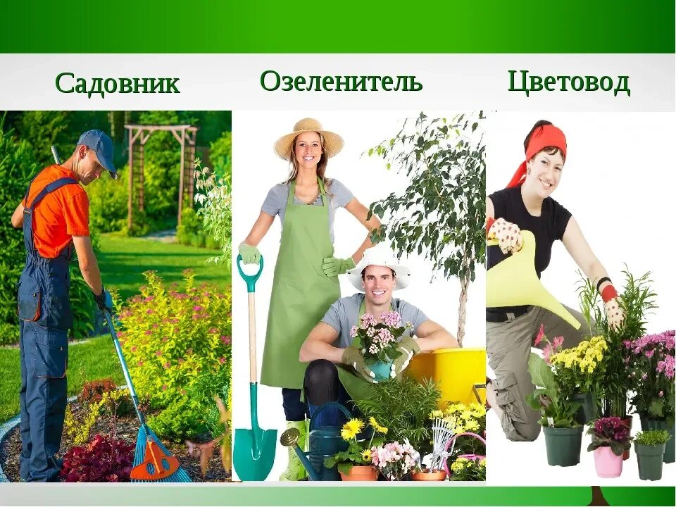 Какую работу выполняет садовник 4. Профессии цветоводства. профессия цветовод. профессия садовник для дошкольников. цветовод-озеленитель.