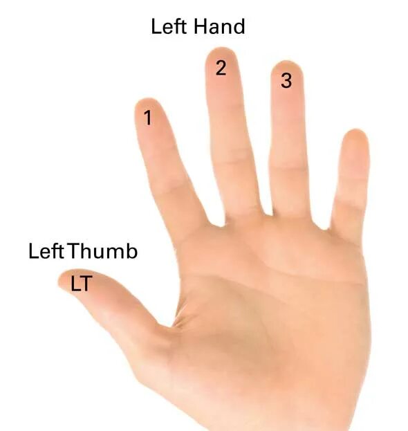 Left hand side in assignment. Left hand. ruka sol. finger left.