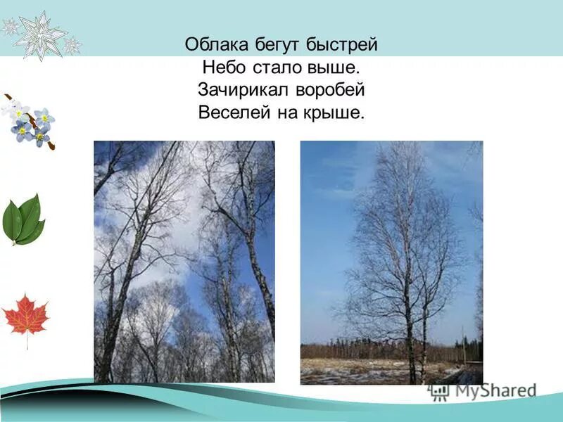 Облака бегут быстрей. Облака бегут быстрей небо стало выше. Небо стало выше зачирикал Воробей. Стихотворение облака бегут быстрей небо стало выше. Бегут быстрей небо стало выше зачирикал Воробей веселей на крыше.