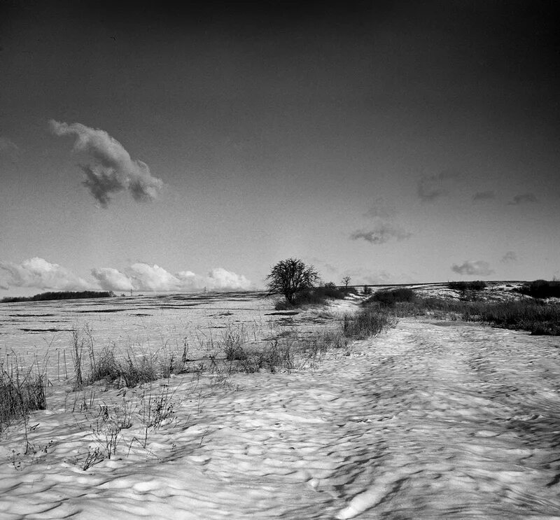 Виктор цой звезда по имени солнце ноты для гитары. Песня серый лед на растрескавшейся земле. Песня серый лед на растрескавшейся земле. Звезда по имени солнце тек. Песня серый лед на растрескавшейся земле.