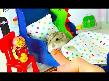 Элли тур