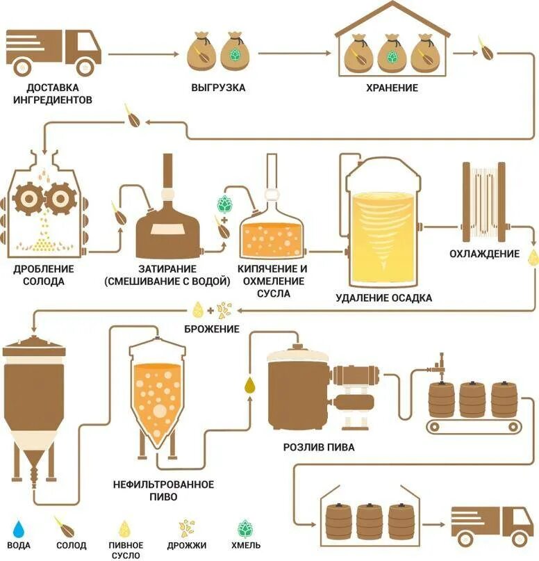 Где производится пиво. Технологическая схема производства нефильтрованного пива. Схема производства пивного сусла. Технологическая схема производства пивного сусла. Технологическая схема приготовления пивного сусла.