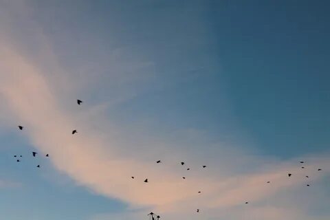 Они слышали небо
