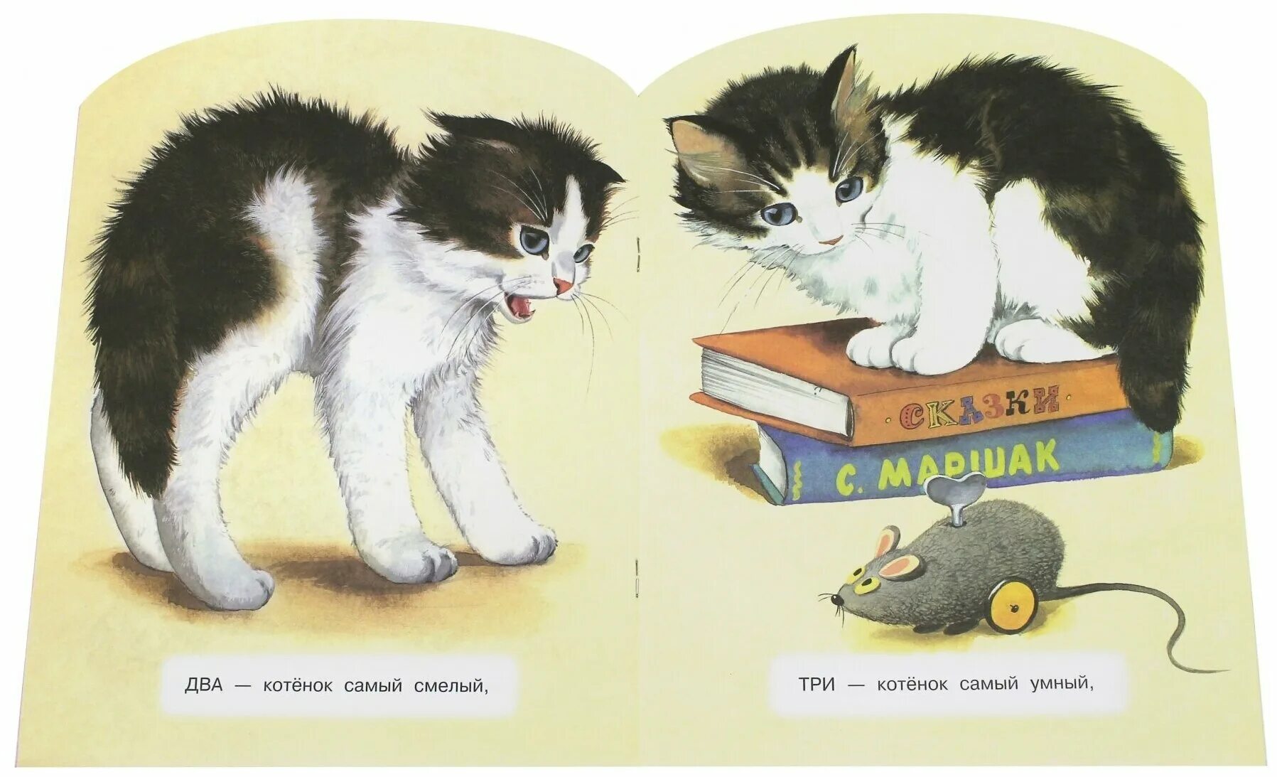 Книга Сергея Михалкова котята.