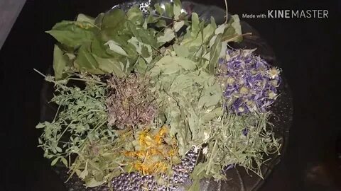 Можно шиншиллам траву