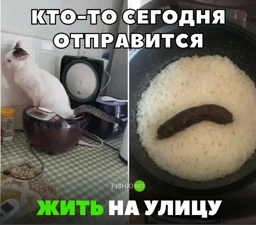 Картинки смешные до слез. Прикольные картинки с едой и надписями. Приколы картинки с надписями. Картинки приколы смешные с надписями.