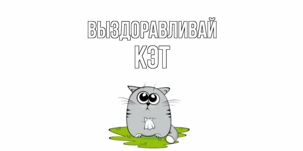 Выздоравливающий котик. Выздоравливай зая. Выздоравливай котик. Открытка выздоравливай кот. Выздоравливай котики рисунки.