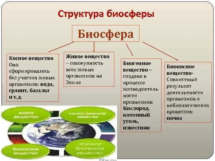 Состав биосферы 6 класс география. Структура биосферы живое вещество. Основные компоненты биосферы схема. Структура вещество границы биосферы. Структура биосферы 11 класс биология.