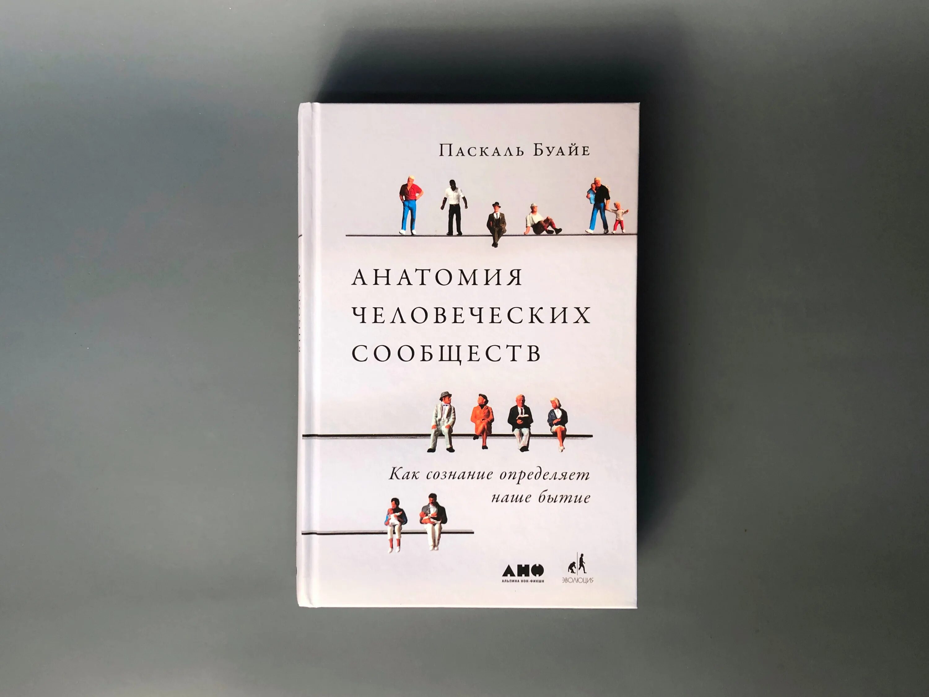 Паскаль Буайе анатомия человеческих сообществ. «Сознание дзен, сознание начинающего» Сюнрю Судзуки книга. “Сообщества человеческой судьбы“. Бытие и ничто книга. Книга бытия и ничто