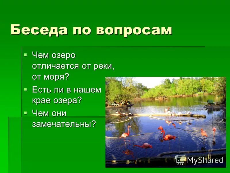самое большое по площади озеро. составление викторины. вопросы на тему озера. вопросы на тему озера. вопросы на тему озера.