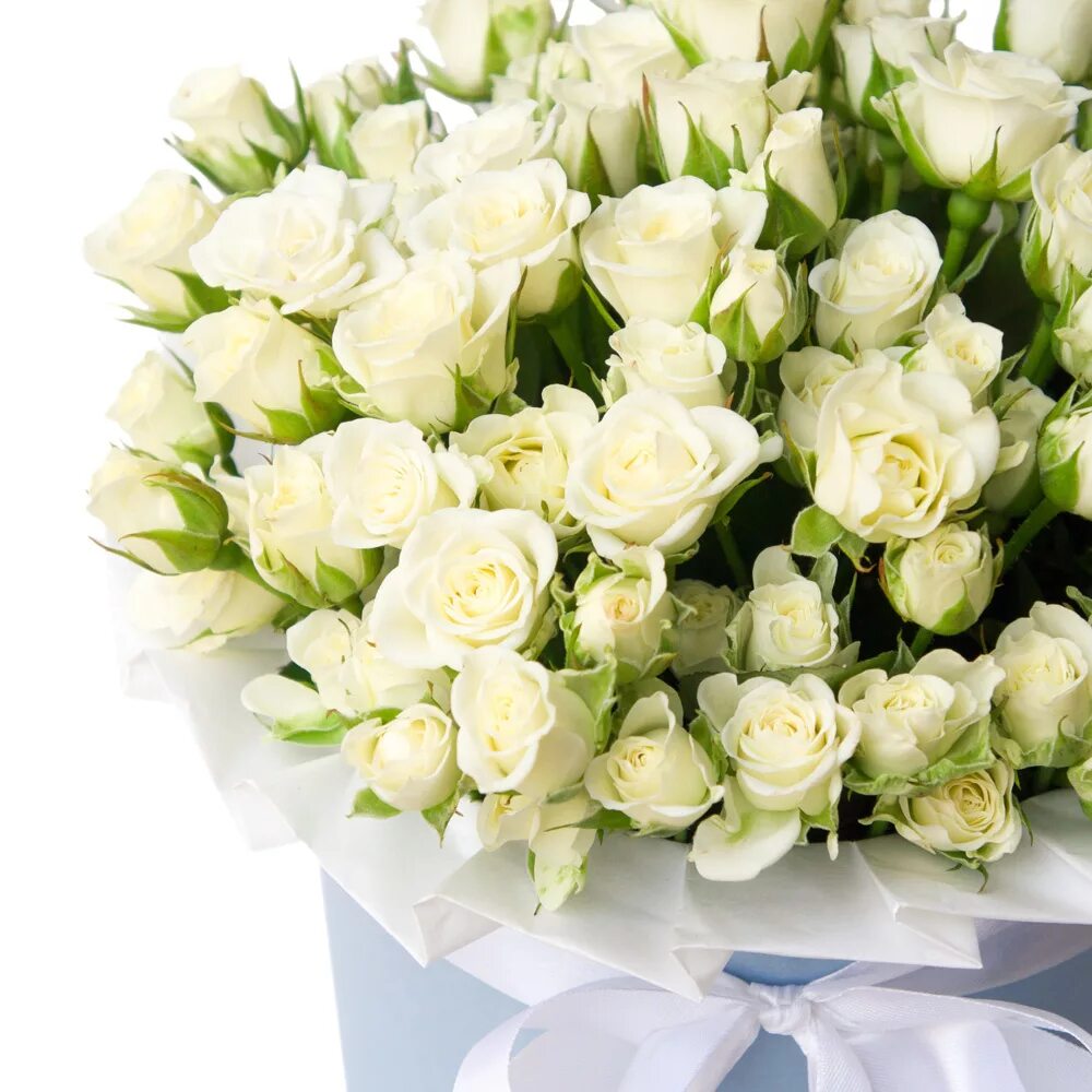 Красивый белый букет. Красивые белые розы. Красивый букет белых роз. Белые кустовые розы.