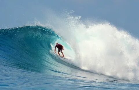 Surfer
