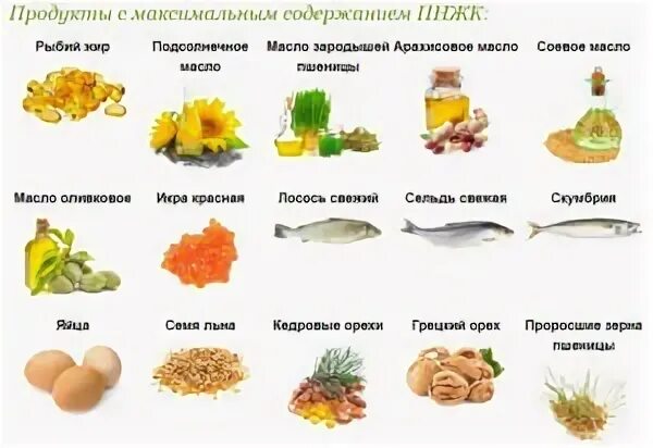Можно ли собакам масло