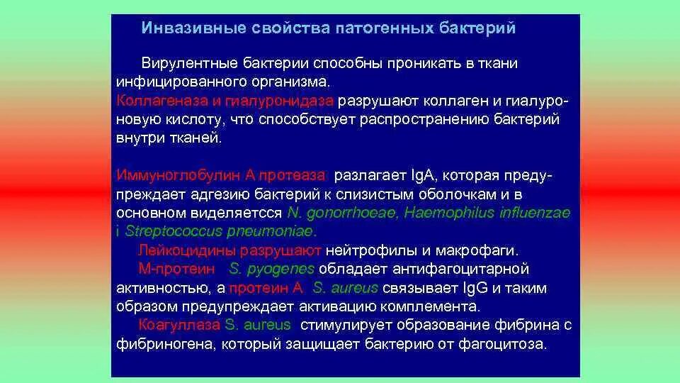 Условия распространения болезнетворных бактерий. Патогенные свойства бактерий. Патогенные бактерии характеристика. Свойства патогенных микроорганизмов. Характеристика болезнетворных микроорганизмов.