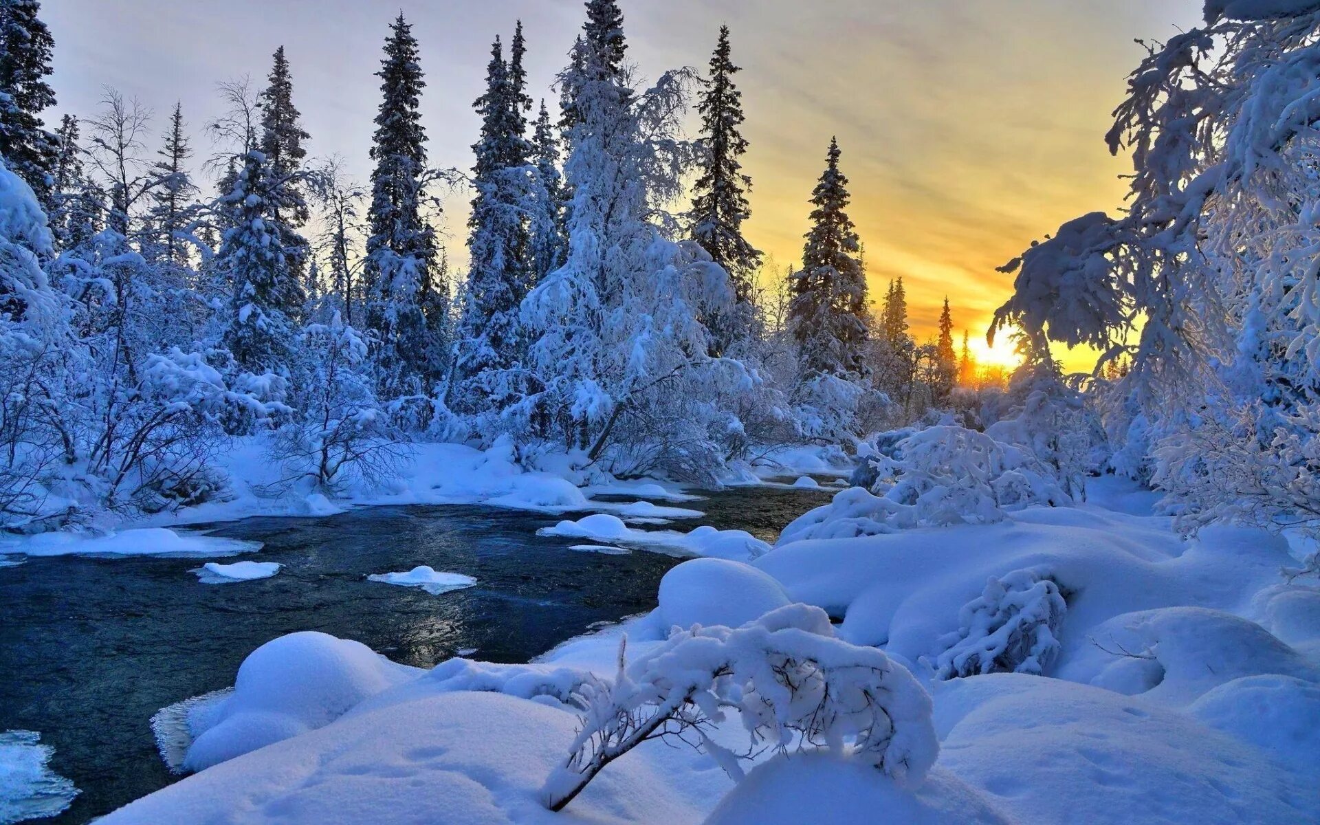 Картинка зимний период. Зимний пейзаж. Зимняя природа. Зимний лес. Красивый зимний лес.