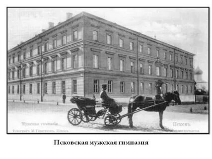 Губернские гимназии