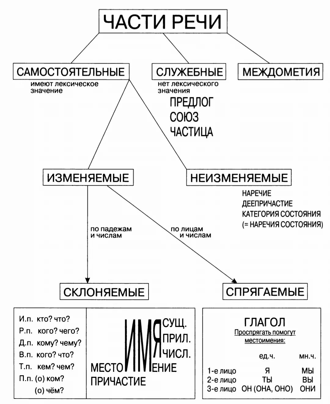 Тема морфология. Что изучает морфология 5 класс. Части речи в русском языке схема. Морфологические признаки частей речи 5 класс таблица. Морфология самостоятельные и служебные части речи.