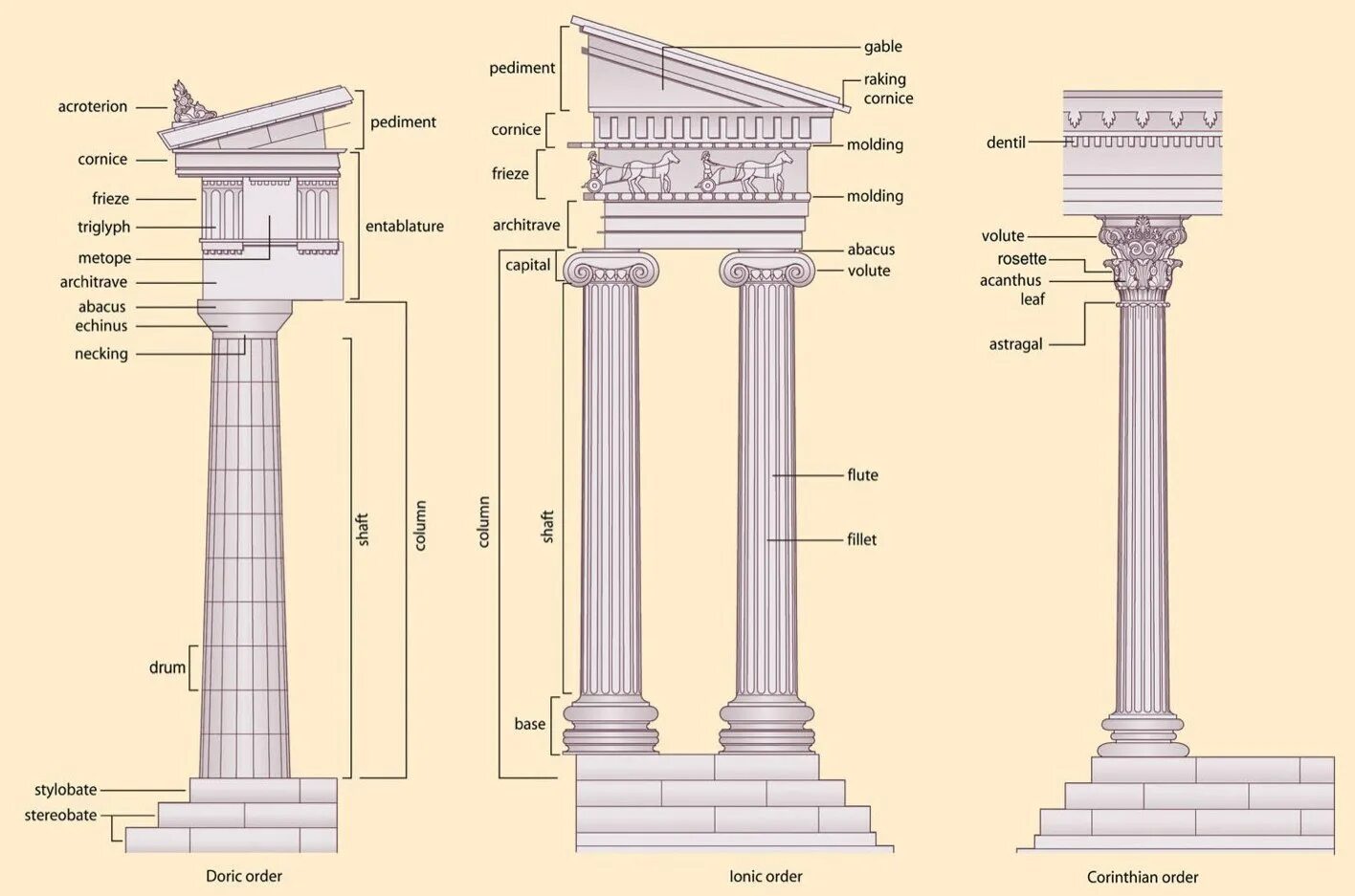 Греческие названия элементов. Древняя Греция дорический ионический и Коринфский ордеры. Колонны дорического Ионического Коринфского ордеров. Дорический ордер в архитектуре. Дорический ордер колонна Греция.