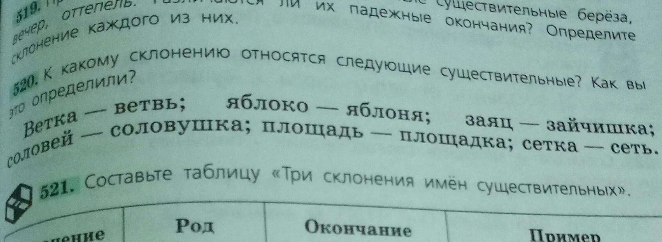 Окончание слова веток. Ветка ветвь склонение. Ветка ветвь яблоко яблоня заяц зайчишка. Придумай еще. К какому склонению относится ветка ветвь.