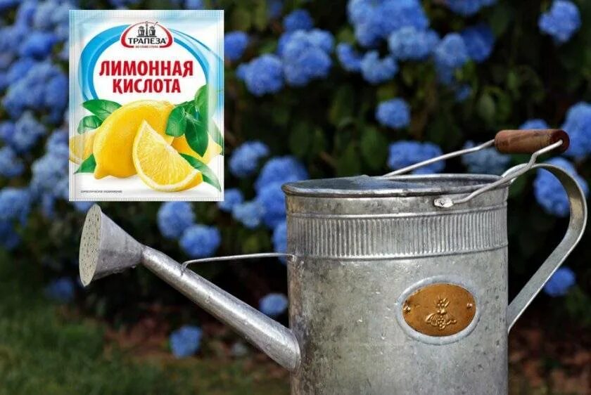 Лимонная кислота для почвы