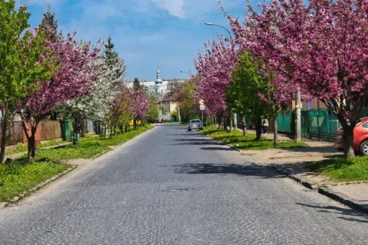 Картинки ВЕСЕННИЙ ДЕНЬ В ГОРОДЕ