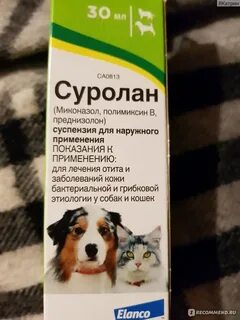 Аналог собакам