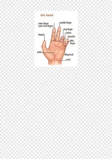 Что означает hand