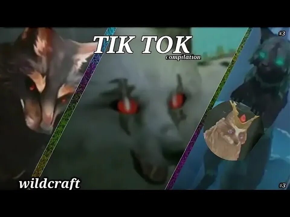 Вилд крафт тик. Wildcraft тик ток. Вайлдкрафт тт. Вилд крафт тик. Вилд крафт тик.