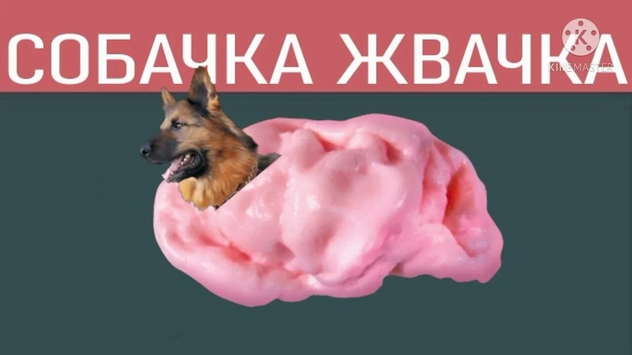 Мышка картошка сосиска собачка. Собачка жвачка. кошка сосиска собачка жвачка. мышка сосиска собачка жвачка кошка картошка куку я немножко. собачка жвачка картинки.