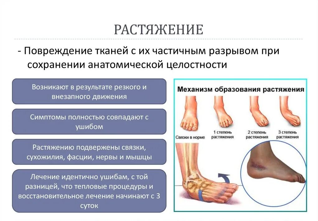 Сколько по времени проходит ушиб