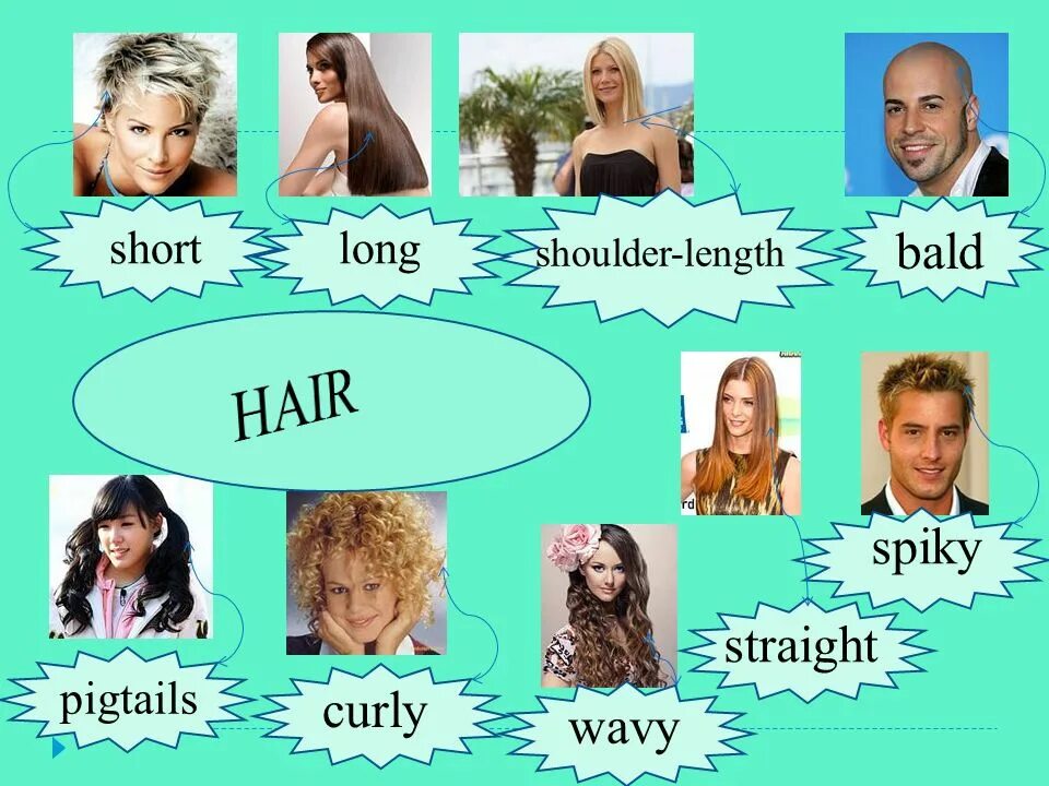 Who s who 5 класс