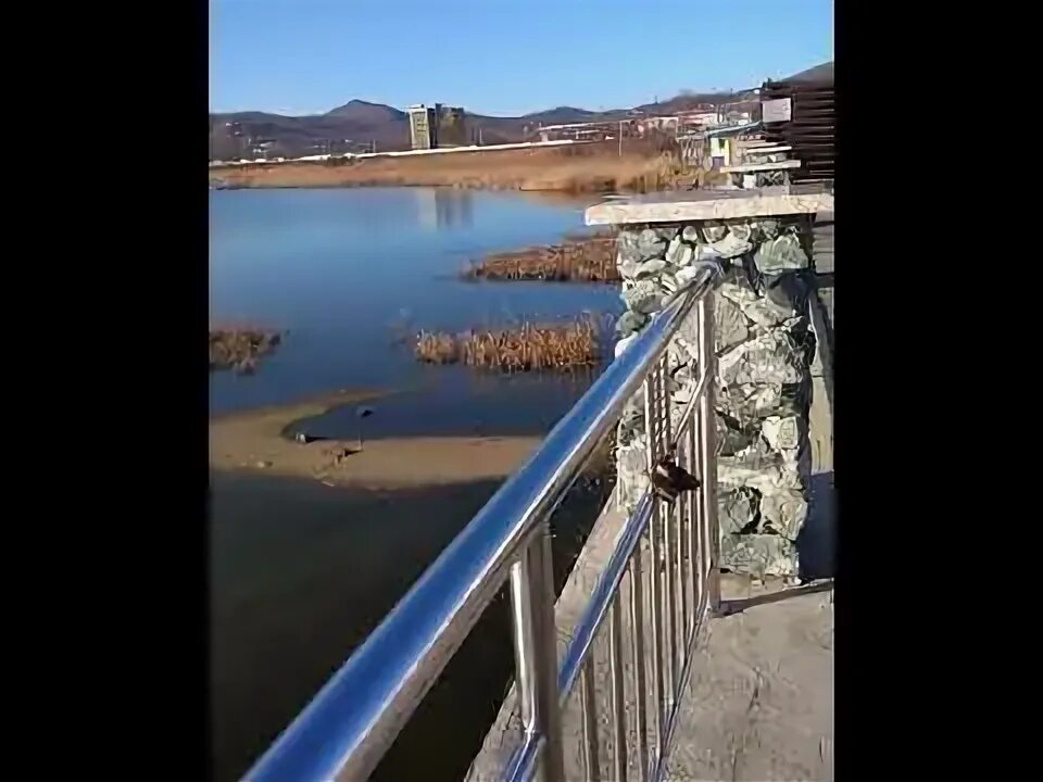 Новороссийский судоремонтный завод лого. Инес находка каталог. Старая находка приморский край. Город находка приморский край сейчас. Развлечения в находке приморский край.