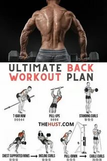 Back plan